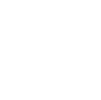 Accounting icon